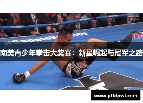 南美青少年拳击大奖赛:新星崛起与冠军之路 南美青少年拳击大奖赛:新星崛起与冠军之路