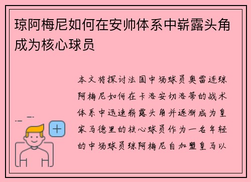 琼阿梅尼如何在安帅体系中崭露头角成为核心球员