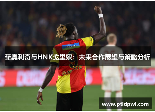 菲奥利奇与HNK戈里察:未来合作展望与策略分析 菲奥利奇与HNK戈里察:未来合作展望与策略分析