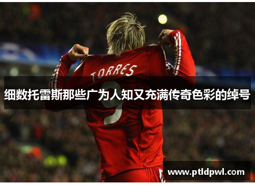 细数托雷斯那些广为人知又充满传奇色彩的绰号 细数托雷斯那些广为人知又充满传奇色彩的绰号